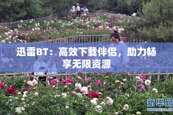 迅雷BT：高效下载伴侣，助力畅享无限资源