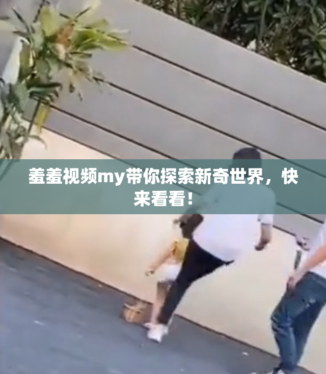 羞羞视频my带你探索新奇世界，快来看看！