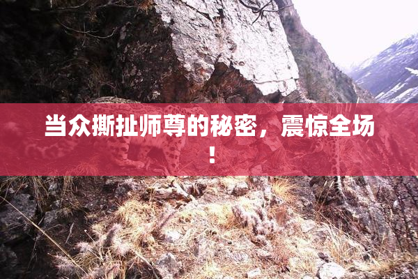 当众撕扯师尊的秘密，震惊全场！