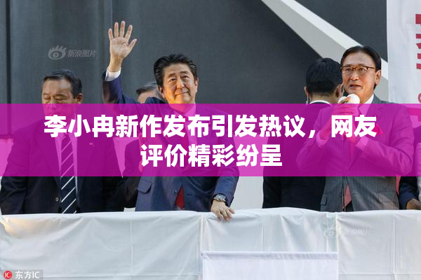 李小冉新作发布引发热议，网友评价精彩纷呈