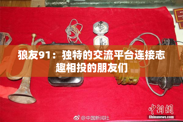 狼友91：独特的交流平台连接志趣相投的朋友们