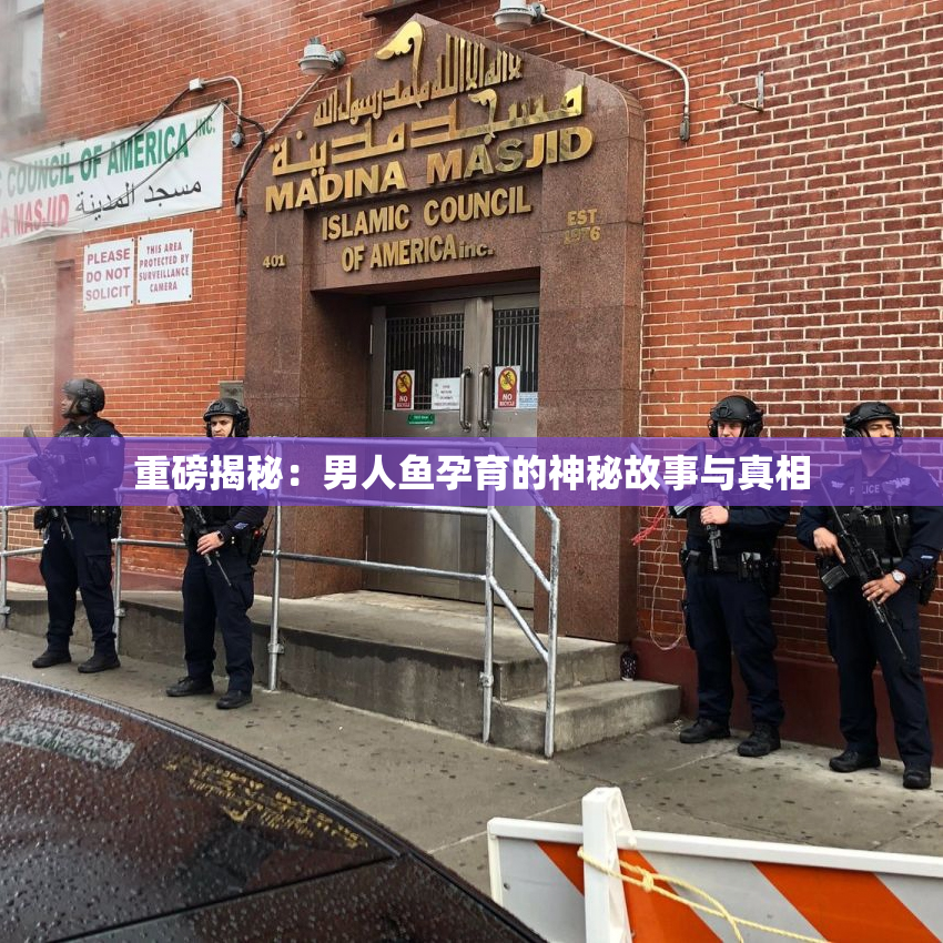 重磅揭秘：男人鱼孕育的神秘故事与真相