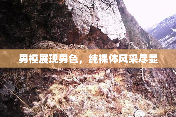 男模展现男色，纯裸体风采尽显