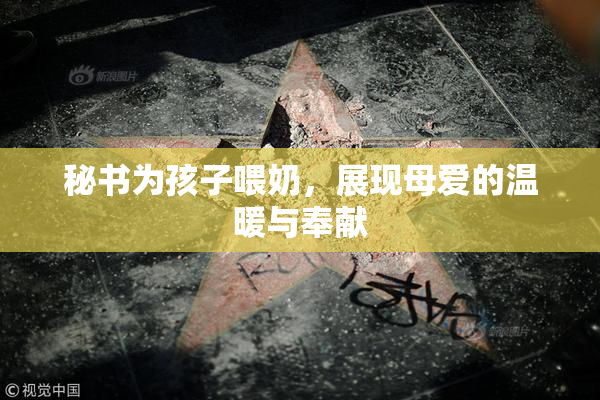 秘书为孩子喂奶，展现母爱的温暖与奉献