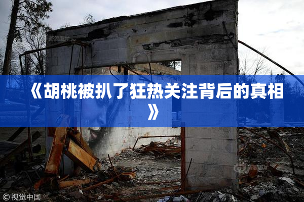 《胡桃被扒了狂热关注背后的真相》