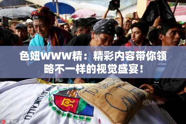 色妞WWW精：精彩内容带你领略不一样的视觉盛宴！