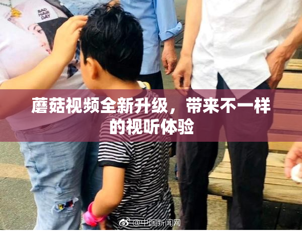 蘑菇视频全新升级，带来不一样的视听体验