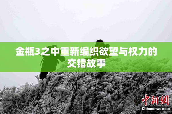 金瓶3之中重新编织欲望与权力的交错故事