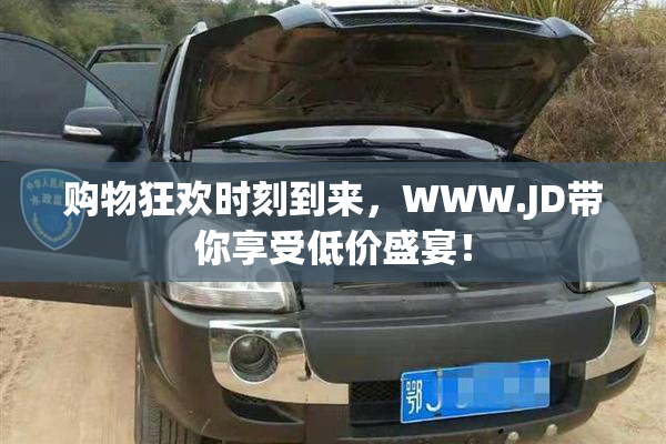 购物狂欢时刻到来，WWW.JD带你享受低价盛宴！