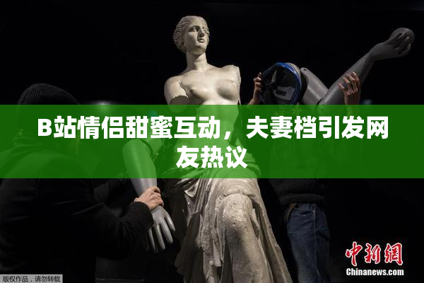 B站情侣甜蜜互动，夫妻档引发网友热议