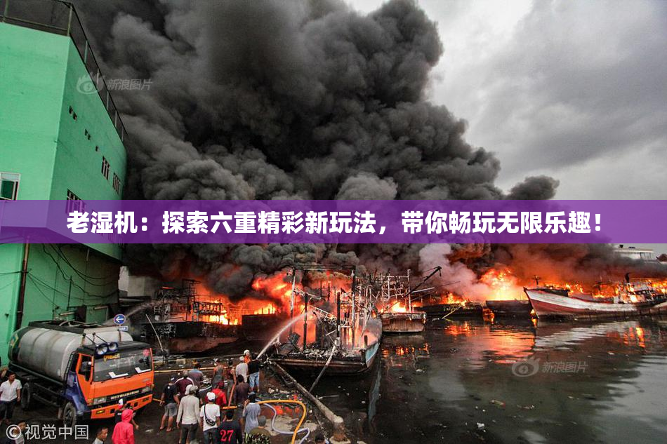 老湿机：探索六重精彩新玩法，带你畅玩无限乐趣！