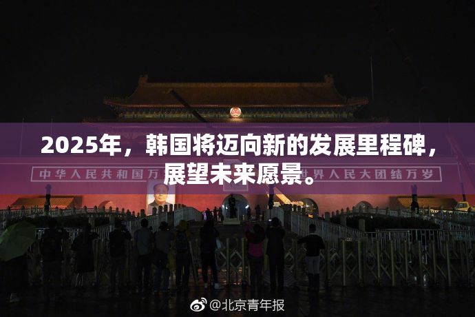 2025年，韩国将迈向新的发展里程碑，展望未来愿景。