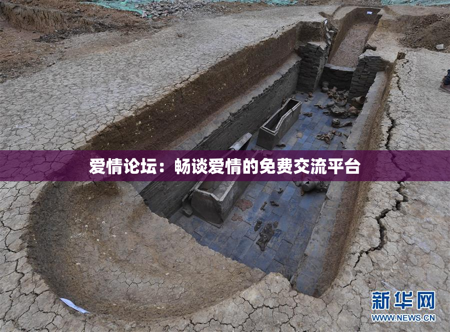 爱情论坛：畅谈爱情的免费交流平台