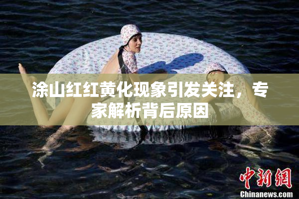 涂山红红黄化现象引发关注，专家解析背后原因