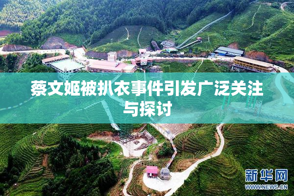 蔡文姬被扒衣事件引发广泛关注与探讨