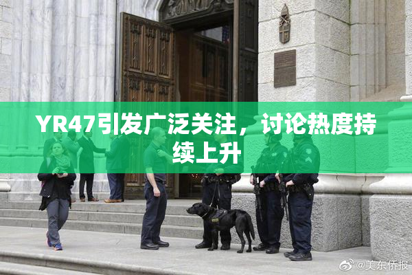 YR47引发广泛关注，讨论热度持续上升