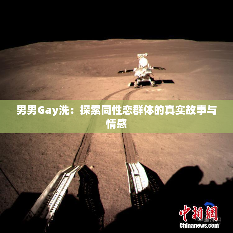 男男Gay洗：探索同性恋群体的真实故事与情感
