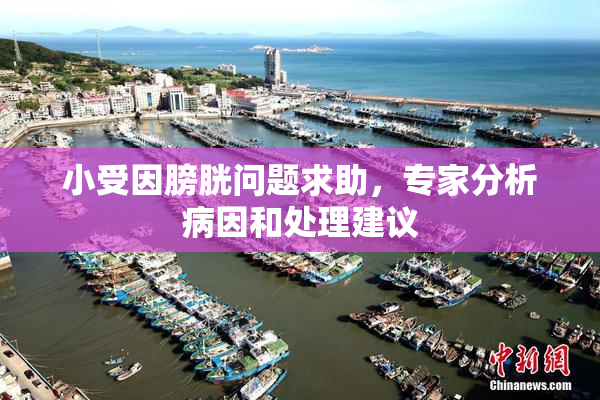 小受因膀胱问题求助，专家分析病因和处理建议