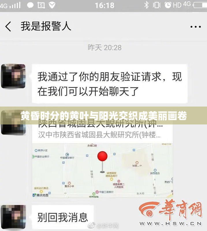 黄昏时分的黄叶与阳光交织成美丽画卷