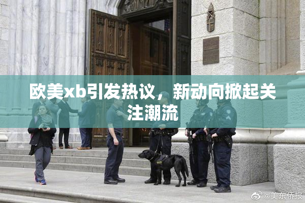欧美xb引发热议，新动向掀起关注潮流
