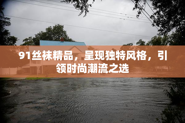 91丝袜精品，呈现独特风格，引领时尚潮流之选