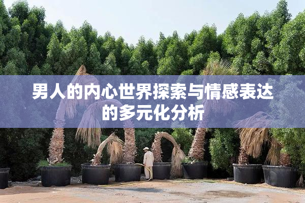 男人的内心世界探索与情感表达的多元化分析