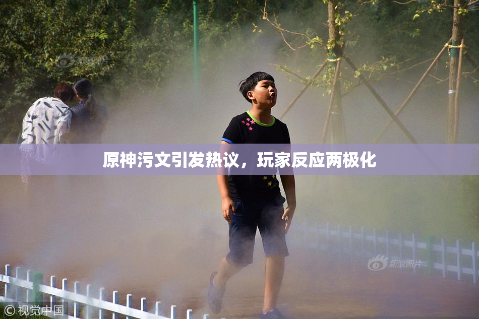 原神污文引发热议，玩家反应两极化