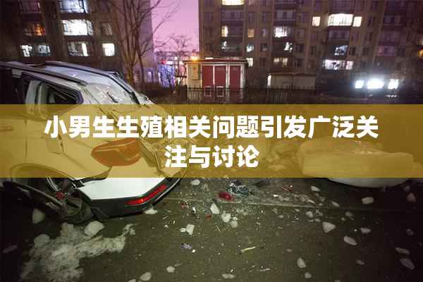 小男生生殖相关问题引发广泛关注与讨论