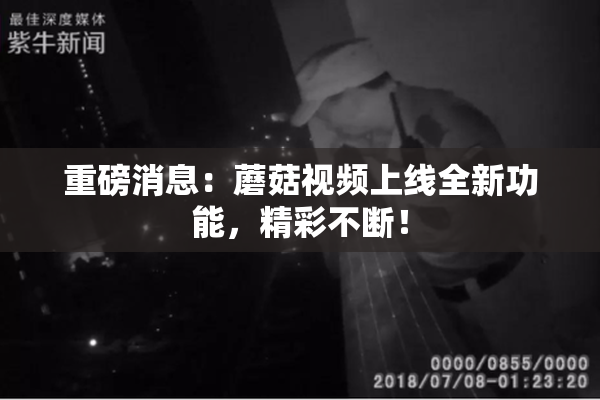重磅消息：蘑菇视频上线全新功能，精彩不断！