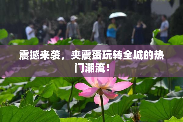 震撼来袭，夹震蛋玩转全城的热门潮流！