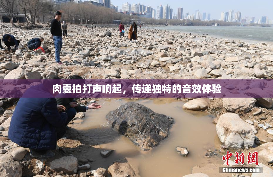 肉囊拍打声响起，传递独特的音效体验