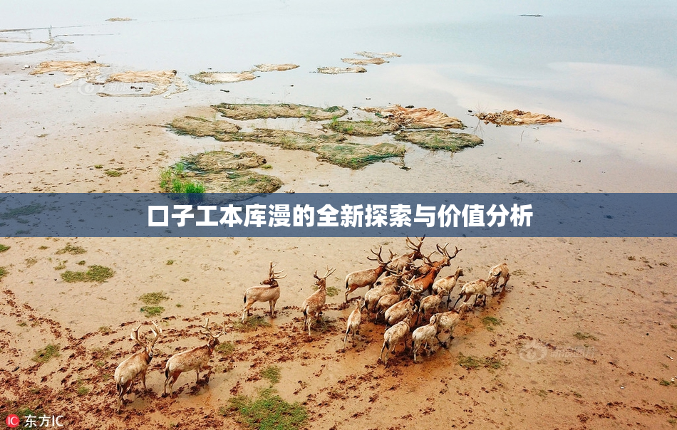 口子工本库漫的全新探索与价值分析