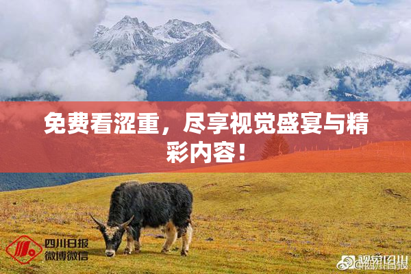 免费看涩重，尽享视觉盛宴与精彩内容！