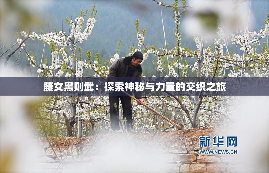 藤女黑则武：探索神秘与力量的交织之旅