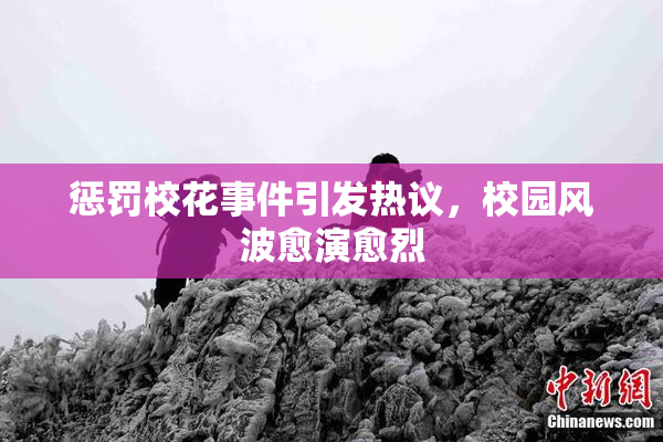 惩罚校花事件引发热议，校园风波愈演愈烈