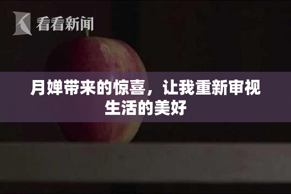 月婵带来的惊喜，让我重新审视生活的美好