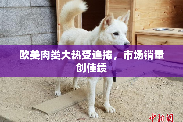 欧美肉类大热受追捧，市场销量创佳绩