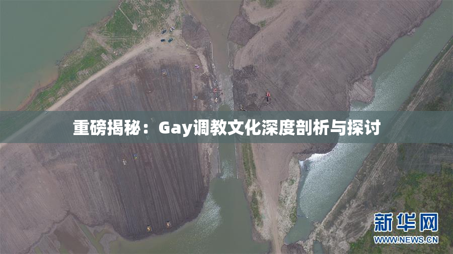 重磅揭秘：Gay调教文化深度剖析与探讨