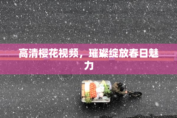 高清樱花视频，璀璨绽放春日魅力