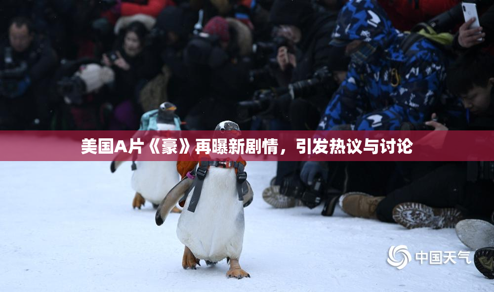 美国A片《豪》再曝新剧情，引发热议与讨论