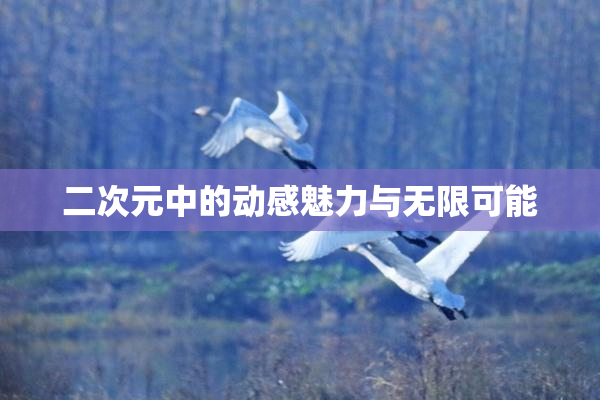 二次元中的动感魅力与无限可能