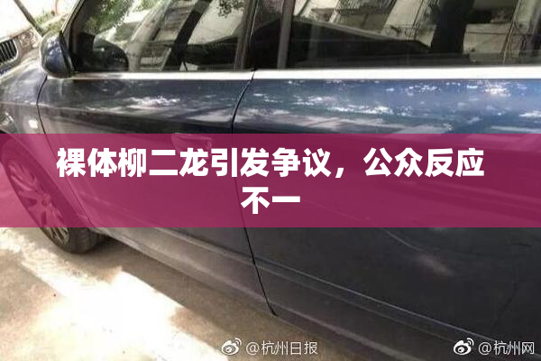裸体柳二龙引发争议，公众反应不一
