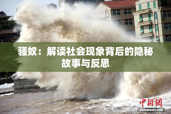 骚奴：解读社会现象背后的隐秘故事与反思