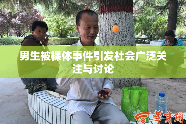 男生被裸体事件引发社会广泛关注与讨论