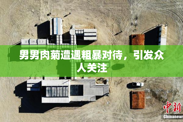 男男肉菊遭遇粗暴对待，引发众人关注