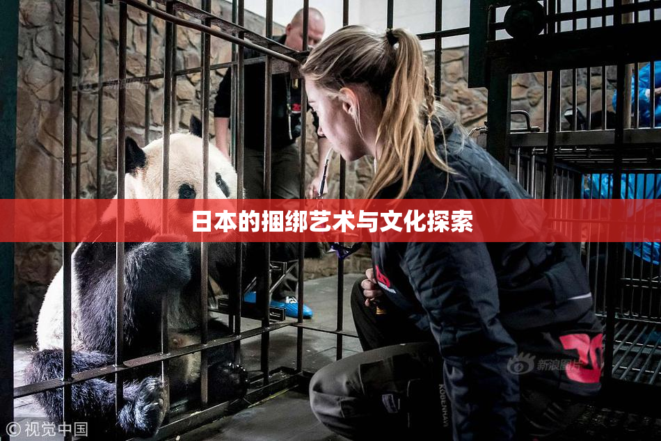 日本的捆绑艺术与文化探索