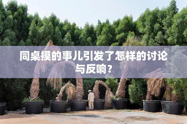 同桌摸的事儿引发了怎样的讨论与反响？