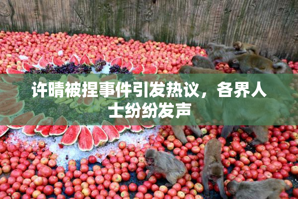 许晴被捏事件引发热议，各界人士纷纷发声