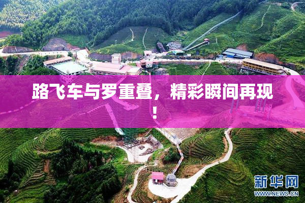 路飞车与罗重叠，精彩瞬间再现！