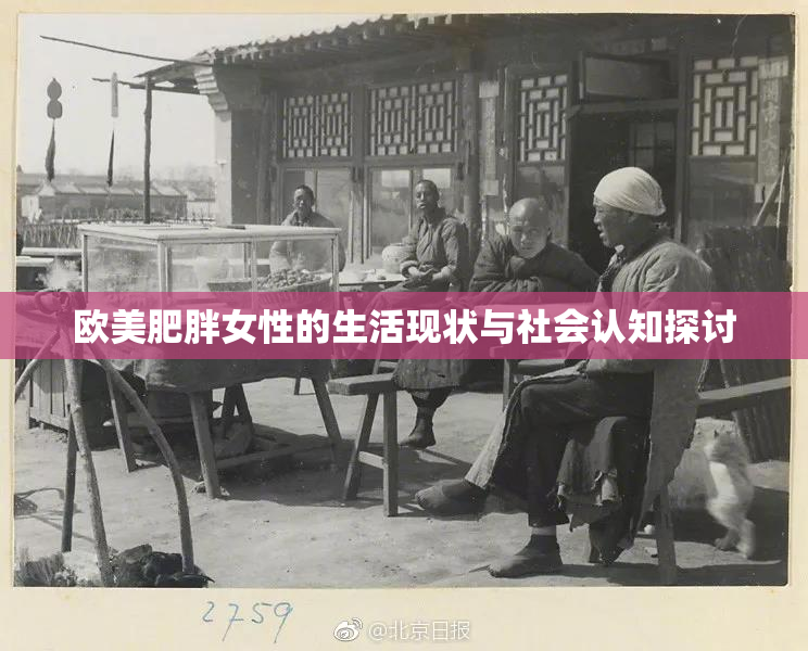欧美肥胖女性的生活现状与社会认知探讨